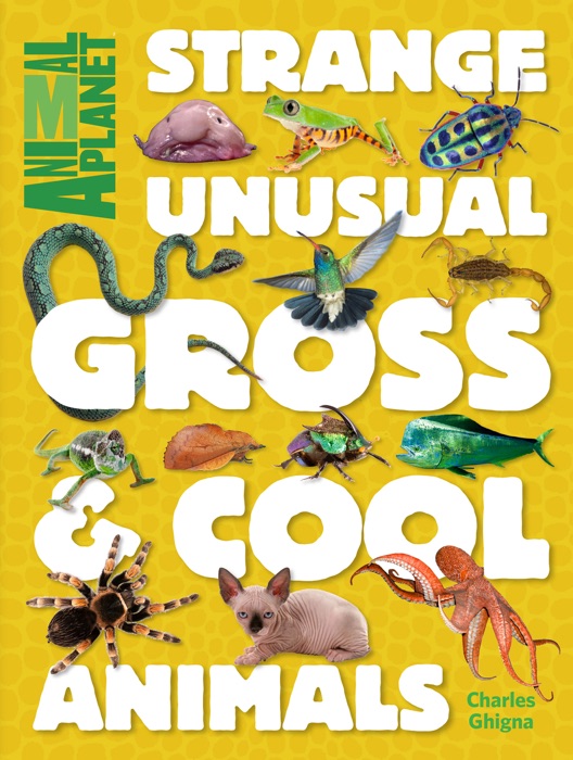 Strange, Unusual, Gross & Cool Animals (An Animal Planet Book)