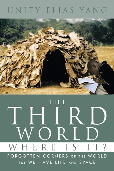 The Third World Where Is It?