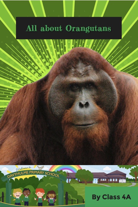 All About Orangutans