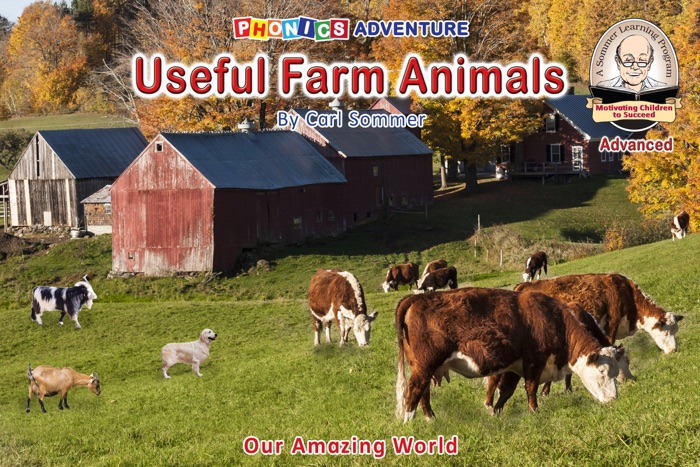 Useful Farm Animals