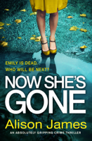 Alison James - Now She's Gone artwork