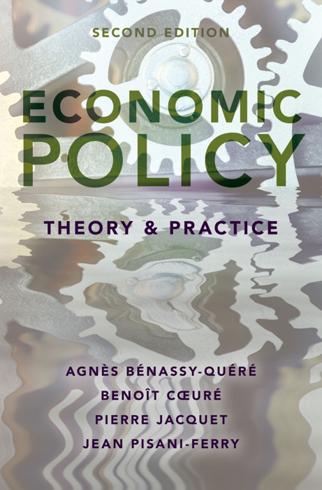 Economic Policy: Theory and Practice