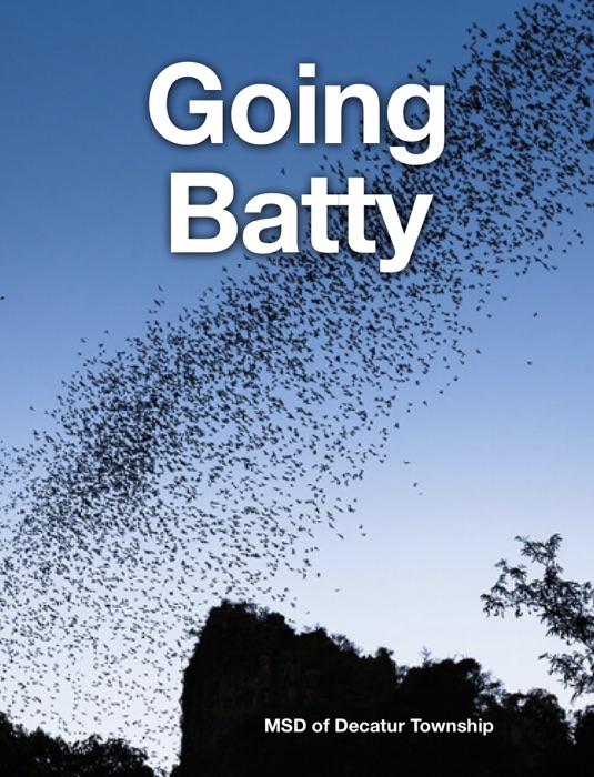 Going Batty