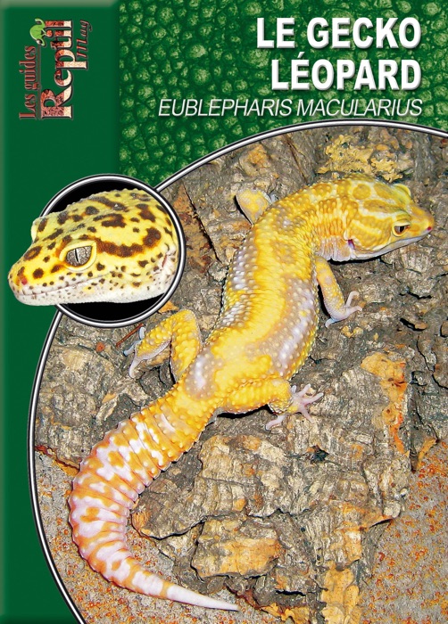 Le gecko léopard
