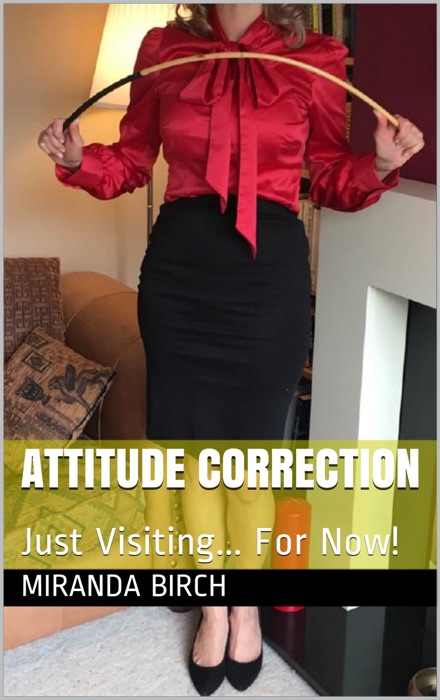 Attitude Correction: Just Visiting… For Now!