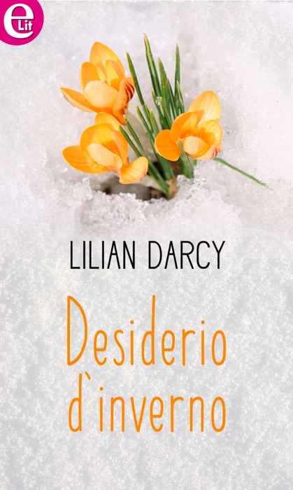 Desiderio d'inverno (eLit)