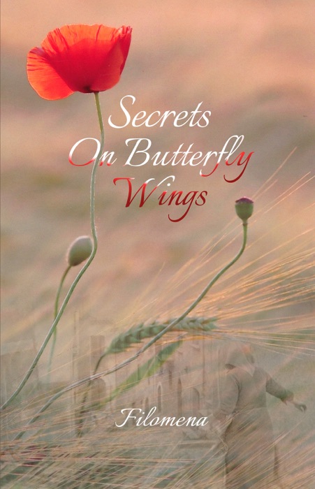 Secrets On Butterfly Wings