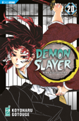 Demon Slayer - Kimetsu no yaiba 20 - Koyoharu GOTOUGE