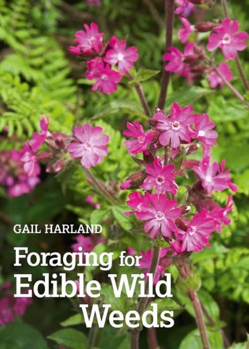 Foraging for Edible Wild Weeds