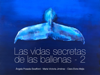 Las vidas secretas de las ballenas - 2 - Angela Posada-Swafford, Maria Victoria Jimenez & Clara Elvira Mejia