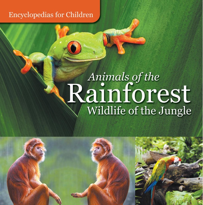 Animals of the Rainforest  Wildlife of the Jungle  Encyclopedias for Children