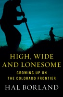 High, Wide and Lonesome - GlobalWritersRank