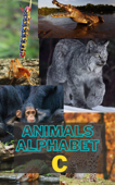 Animals Alphabet C - Pham Cong Phu