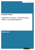 Opferkulte der Kelten - Brandopferplätze, Höhlen- und Quellheiligtümer - Alexandra Nowak