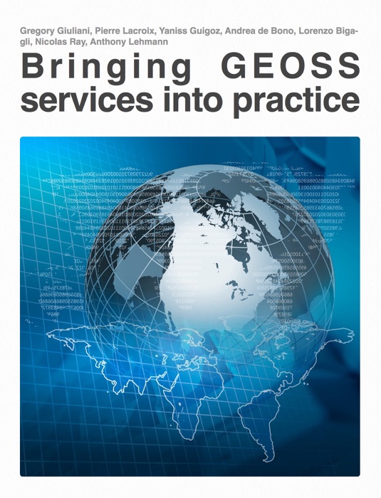 Bringing GEOSS Services into Practice