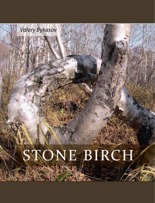 Stone Birch