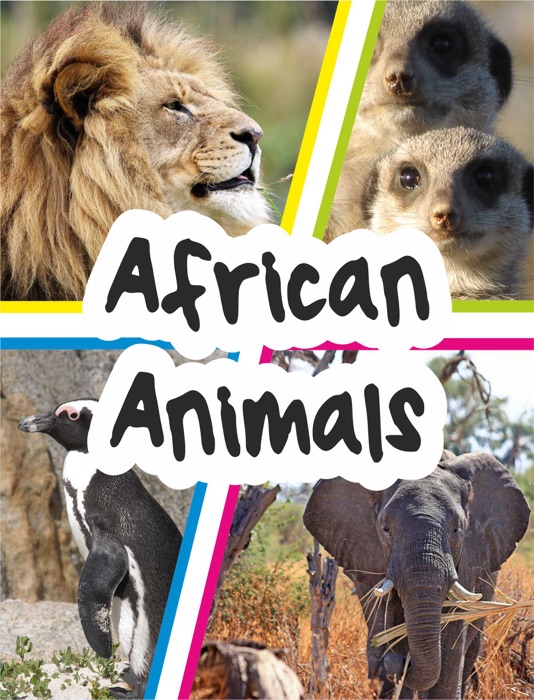 African Animals