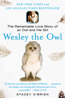 Stacey O'Brien - Wesley the Owl artwork