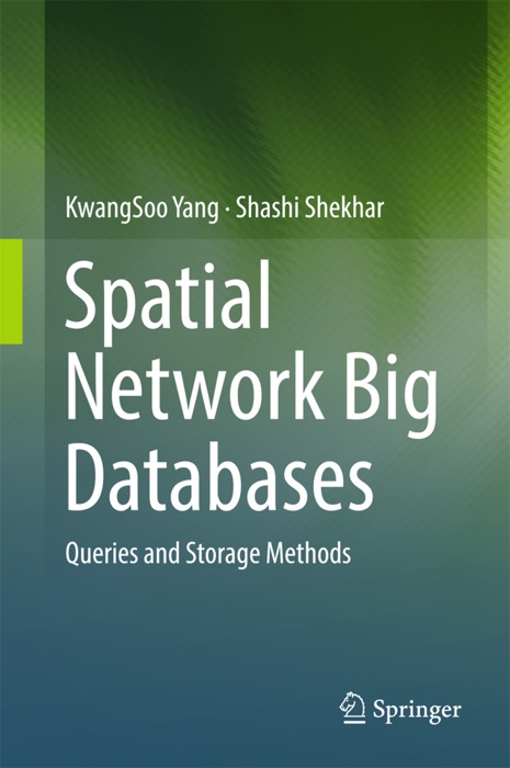 Spatial Network Big Databases