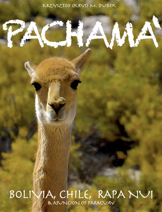 Pachama