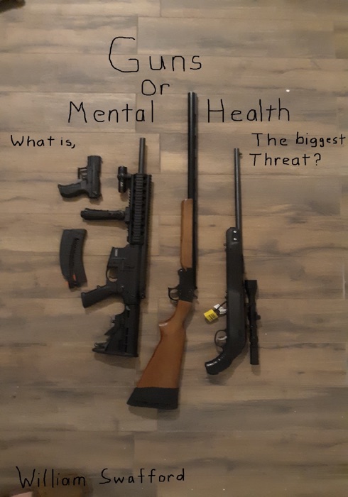 Guns or Mental Health