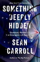 Sean Carroll - Something Deeply Hidden artwork