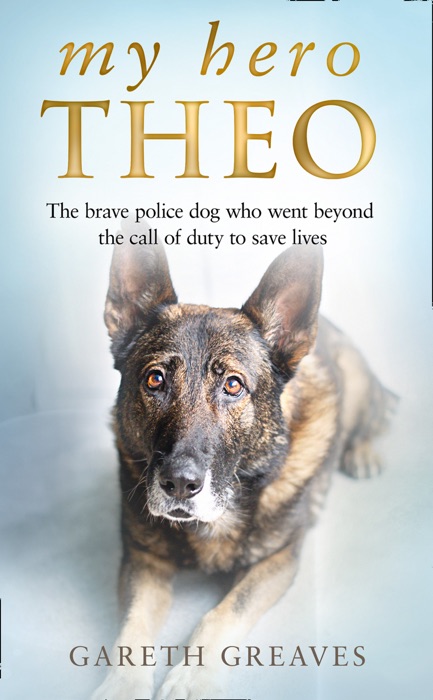 My Hero Theo