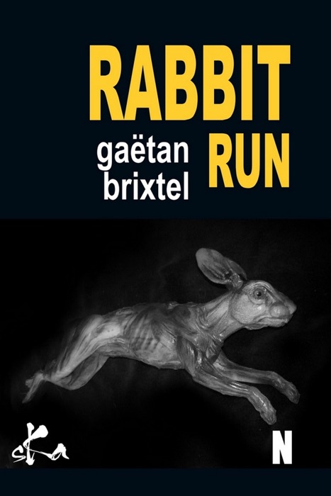 Rabbit Run