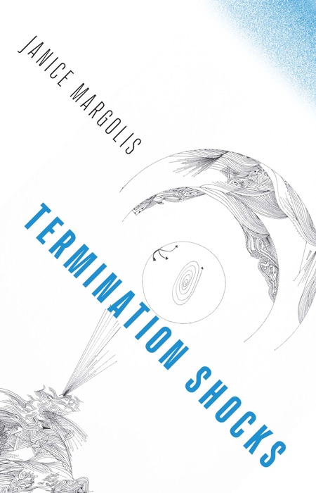 Termination Shocks