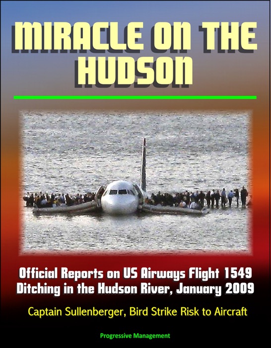 Miracle on the Hudson: Official Reports on US Airways Flight 1549 Ditching in the Hudson River, January 2009, Captain Sullenberger, Bird Strike Risk to Aircraft