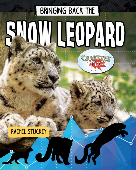 Bringing Back the Snow Leopard