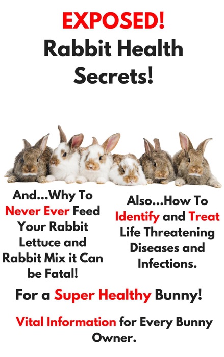 Exposed Rabbit Health Secrets