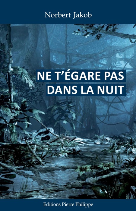 Ne t'égare pas dans la nuit