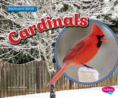 Cardinals - Lisa J. Amstutz
