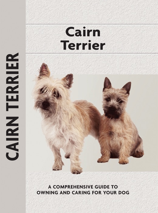 Cairn Terrier