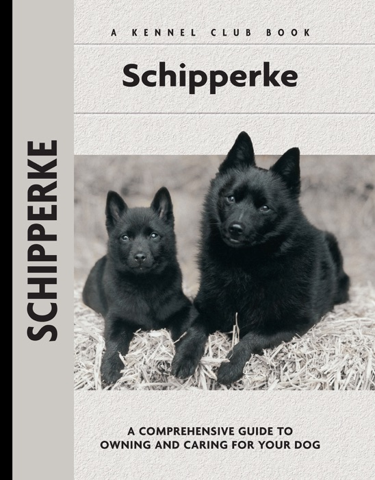 Schipperke