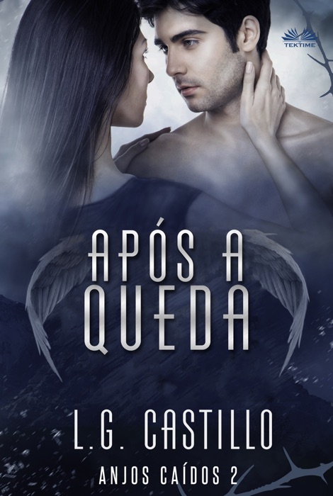 Após A Queda  (Anjos Caídos #2)