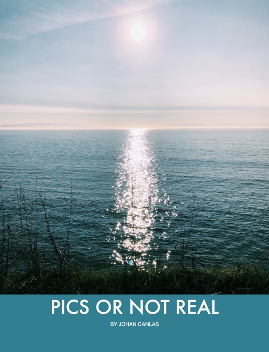 Pics Or Not Real