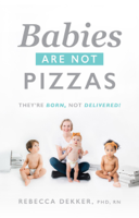 Rebecca Dekker - Babies Are Not Pizzas artwork