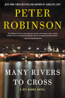Peter Robinson - Many Rivers to Cross artwork