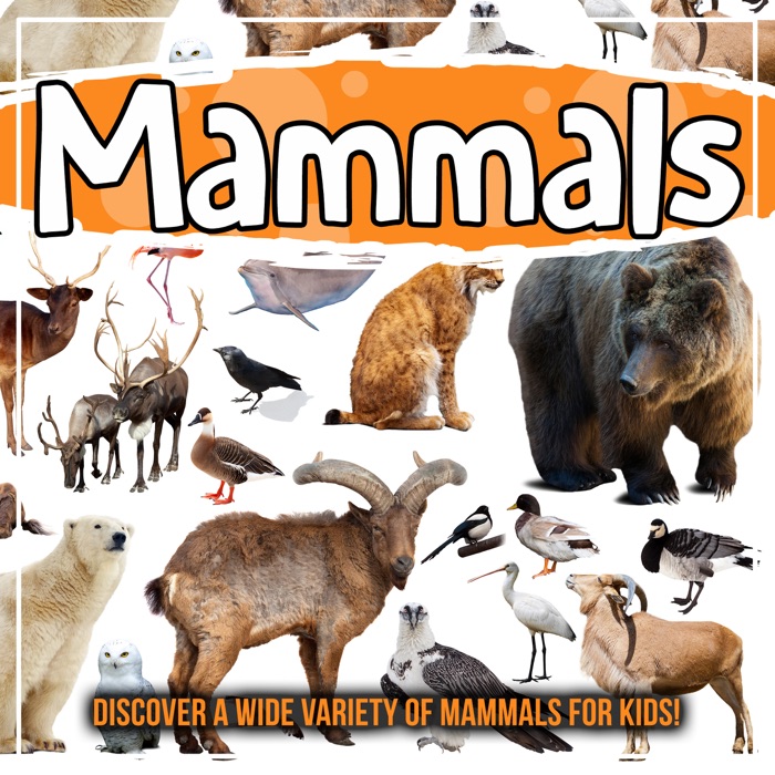 Mammals: Discover A Wide Variety Of Mammals For Kids!