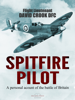 Flight Lieutenant David Crook DFC - Spitfire Pilot artwork