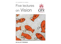 Five Lectures on Vision