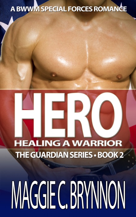 Hero: Healing a Warrior, Book 2
