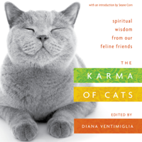 Various Authors - The Karma of Cats artwork