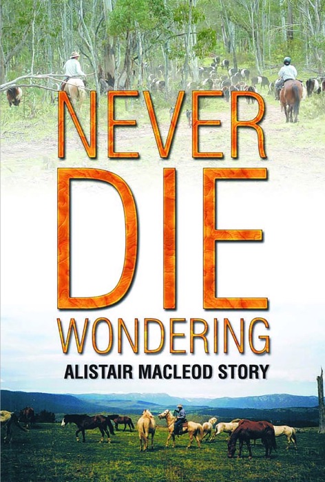 NEVER DIE WONDERING