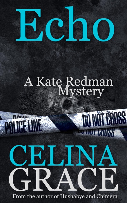 Echo (A Kate Redman Mystery: Book 6)