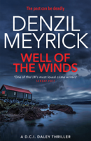 Denzil Meyrick - Well of the Winds artwork