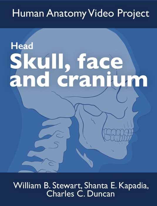 Skull, Face and Cranium