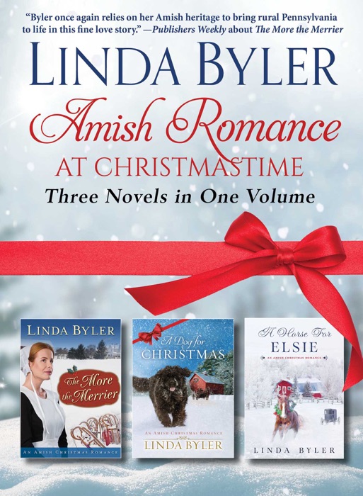 Amish Romance at Christmastime